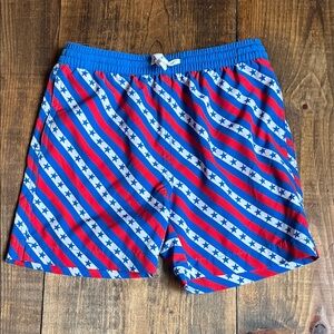 Kids chubbies Patriotic Striped Swim Shorts